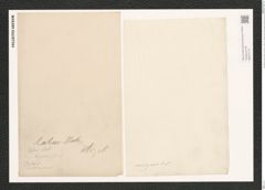 Campylodiscus latus Shadb. (de-Toni-Nr.: Genus 57, Species 2460) Zeichnungen Sammlung Grunow (NHMW-BOT-W0373172)